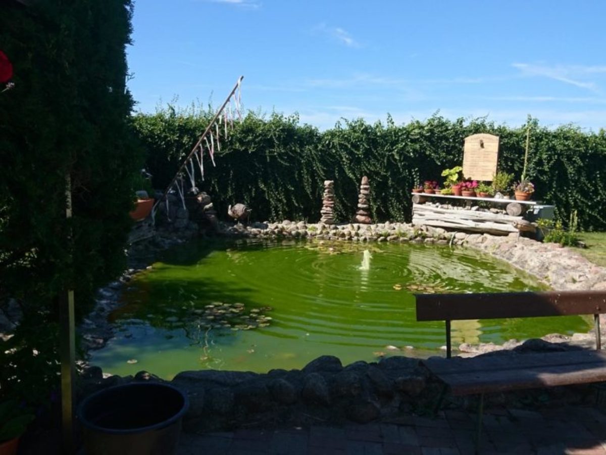 Klemmis_Ferienwohnung_Garten_5444