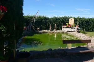 Klemmis_Ferienwohnung_Garten_5444