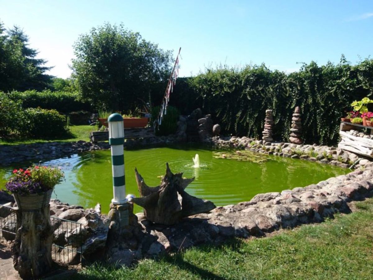 Klemmis_Ferienwohnung_Garten_5445