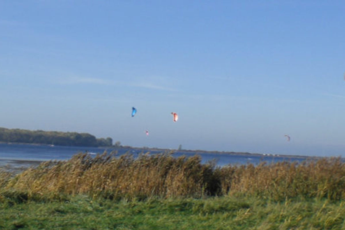 kitesurfer